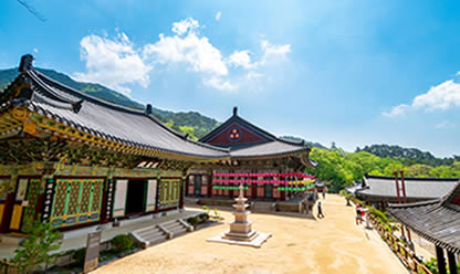 Trip to THE ESSENCE OF KOREA AND JEJU ISLAND 2025 in English | Travel agency Festival