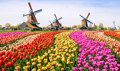 Trip to CONTINENTAL FAIRYTALE 2025 in English | Travel agency Festival